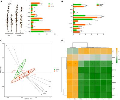 Manipulating rhizosphere microorganisms to improve crop yield in saline-alkali soil: a study on soybean growth and development